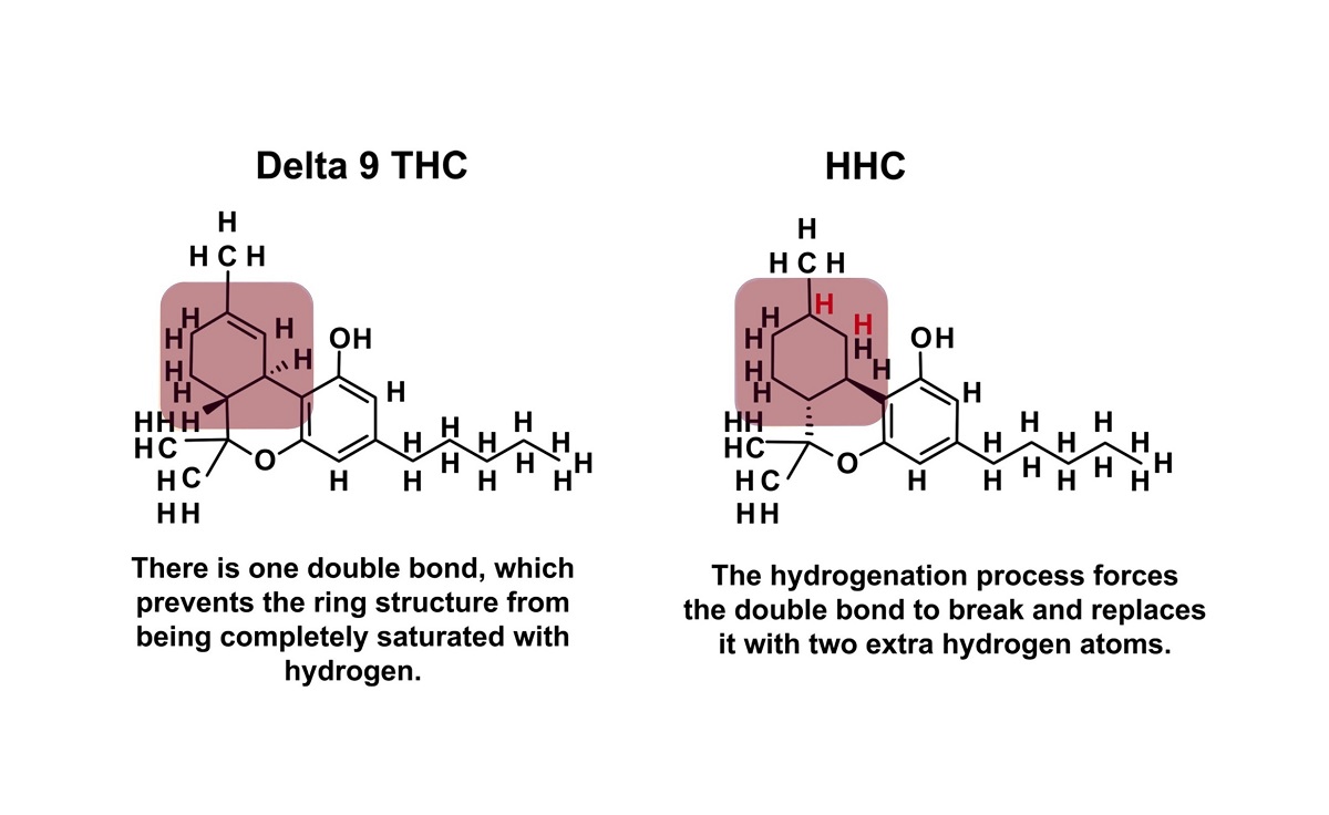 HHC vs Delta 9 THC
