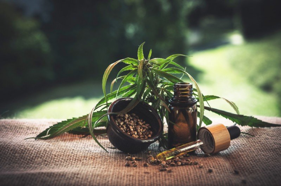 Understanding CBD: The Facts