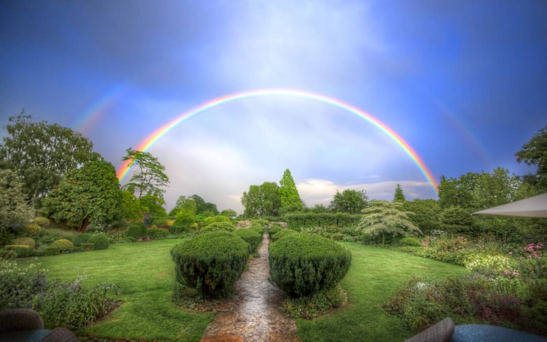 FULL SPECTRUM VS. BROAD SPECTRUM VS. ISOLATE