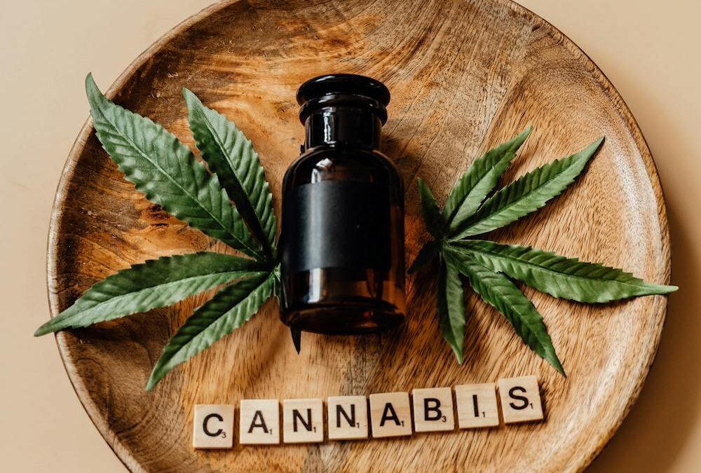 The Ultimate Breakdown of Delta 9 THC: What It Means for You